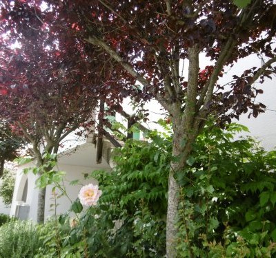 location saisonniere